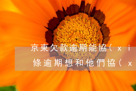 京東欠款逾期能協(xié)商嗎-京東借條逾期,想和他們協(xié)商說到月底還不同意怎么辦