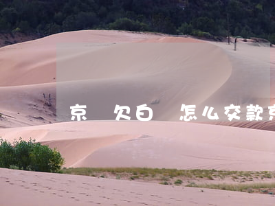 京東欠白條怎么交款(京東的打白條怎樣還款)
