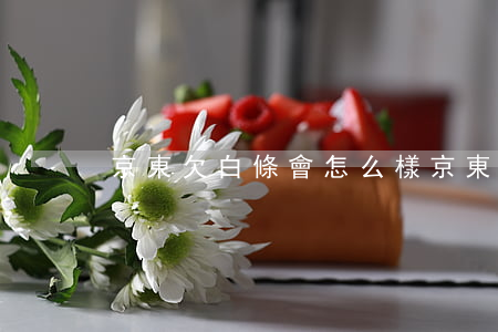 京東欠白條會怎么樣(京東欠白條會怎么樣)
