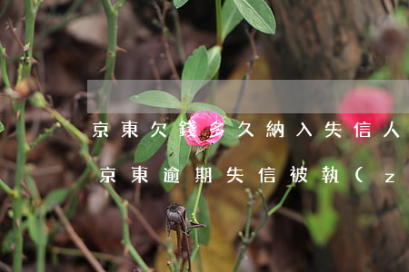 京東欠錢多久納入失信人名單后應該怎么辦（京東逾期失信被執(zhí)行人）