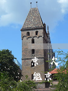 京東欠錢逾期怎么辦(欠京東金融錢逾期了,還能京東購物嗎)