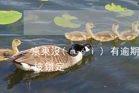 京東沒(méi)有逾期但被鎖定(京東鎖單被鎖定)