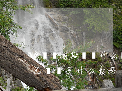 京東沒逾期過為什么會關閉服務-京東服務已關閉是什么意思