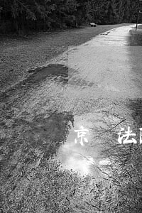 京東法院拍賣平臺入口（起訴京東法院拍賣違約）