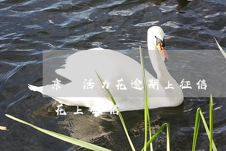 京東活力花逾期上征信嗎-京東以前的活力花上征信嗎