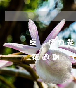 京東活力花逾期費(fèi)用高(京東活力花逾期費(fèi)用高)