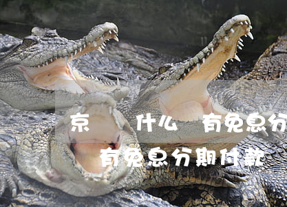 京東為什么沒有免息分期付款-京東為什么沒有免息分期付款選項(xiàng)