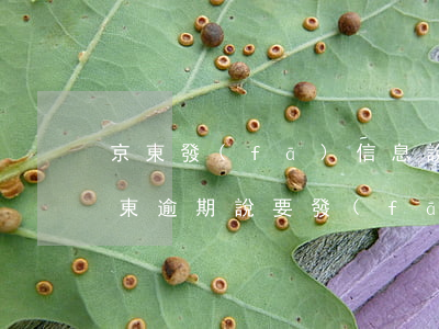 京東發(fā)信息說發(fā)律師函（京東逾期說要發(fā)律師信給我）