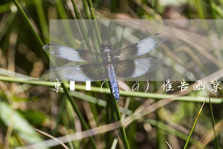 京東發(fā)催告函（京東逾期催告函拒收）