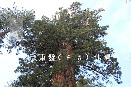 京東發(fā)生過一次逾期