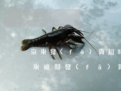 京東發(fā)貨超時(shí)怎么辦（京東逾期發(fā)貨會(huì)怎樣）