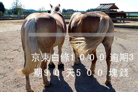 京東白條1000逾期35天-京東白條逾期90天500塊錢