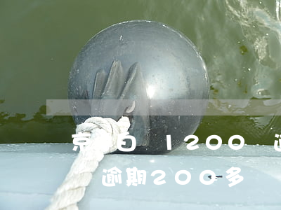 京東白條1200塊逾期270天-京東白條逾期200多