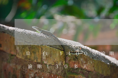 京東白條14000逾期25天-京東白條逾期130多天