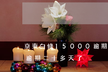 京東白條15000逾期(京東白條2500逾期二十多天了)