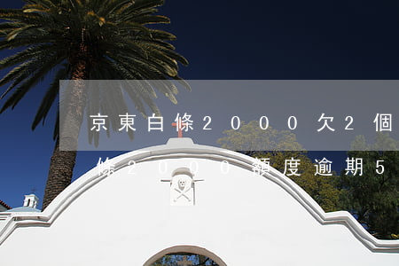 京東白條2000欠2個(gè)月（京東白條2000額度逾期5年）