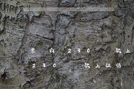 京東白條230沒還款上征信嗎-京東白條230沒還款上征信嗎有影響嗎