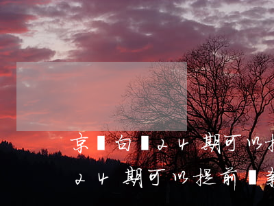 京東白條24期可以提前還款嗎-京東白條24期可以提前還款嗎?