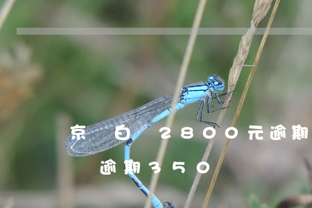 京東白條2800元逾期300天-京東白條逾期350塊錢