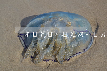 京東白條2萬逾期一個月