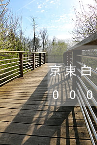 京東白條3000逾期會上門嗎(京東白條3000逾期會上門嗎)