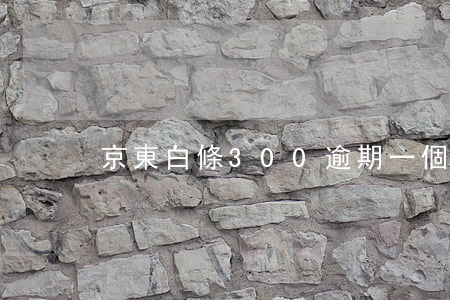 京東白條300逾期一個月