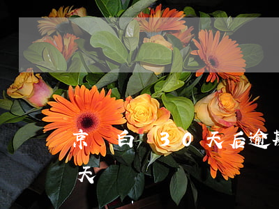 京東白條30天后逾期呢(京東白條逾期35天)