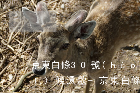 京東白條30號(hào)用什么時(shí)候還款-京東白條30號(hào)用什么時(shí)候還款呢