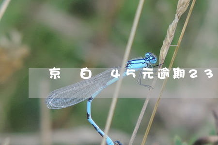 京東白條45元逾期23天了