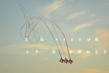 京東白條4600分期還款多少錢-4600京東白條分期利息多少