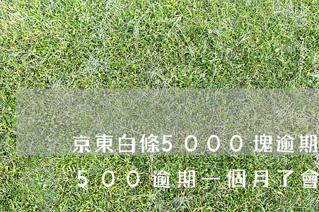 京東白條5000塊逾期會怎么樣 京東白條500逾期一個月了會有什么后果?