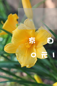 京東白條5000欠4年(欠京東白條4000元1年多不還會(huì)怎么樣)