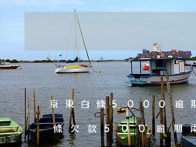 京東白條5000逾期多久會被起訴(京東白條欠款500逾期兩個月會被起訴嗎)