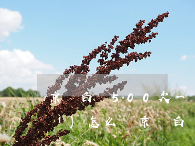 京東白條500欠一個(gè)月會(huì)怎么樣(京東白條欠五百塊錢逾期一個(gè)月會(huì)怎么樣)