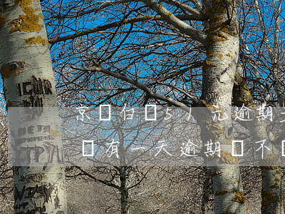 京東白條51元逾期多久會上征信-京東白條有一天逾期會不會馬上上征信