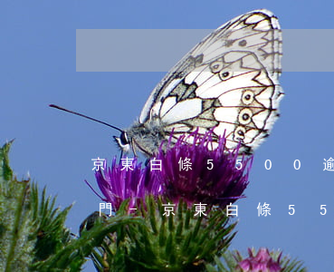 京東白條5500逾期多久會(huì)上門-京東白條5500逾期多久會(huì)上門催收
