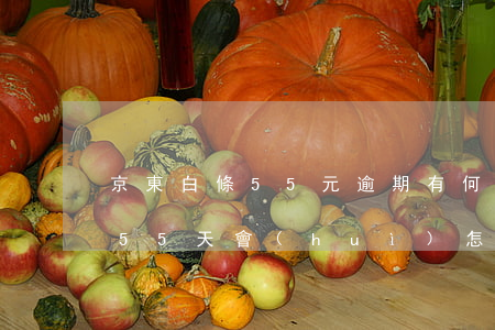 京東白條55元逾期有何后果(京東白條逾期55天會(huì)怎么樣)