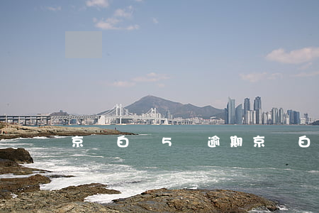京東白條5萬逾期(京東白條逾期幾百塊錢)