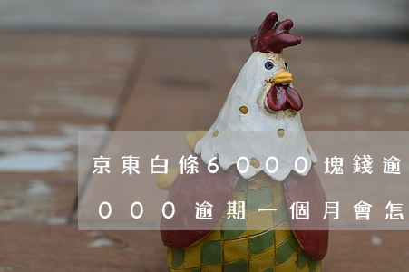 京東白條6000塊錢逾期5年(京東白條6000逾期一個月會怎么樣)