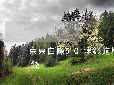 京東白條60塊錢逾期(京東白條逾期十幾塊錢)