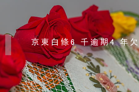 京東白條6千逾期4年(欠京東白條5千兩年)