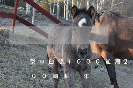 京東白條7000逾期20天 京東白條欠700逾期一年