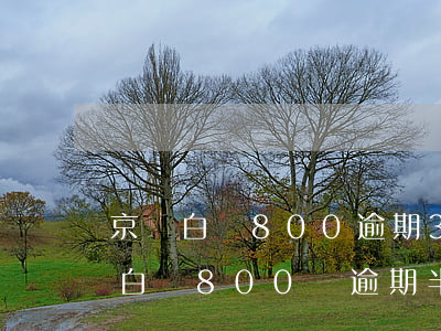 京東白條800逾期3個(gè)月-京東白條800塊逾期半年會(huì)上門嗎