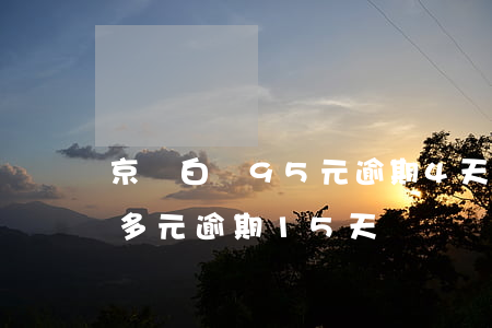 京東白條95元逾期4天-京東白條100多元逾期15天