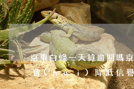 京東白條一天算逾期嗎(京東白條遲一天還款會(huì)降低信譽(yù)嗎)