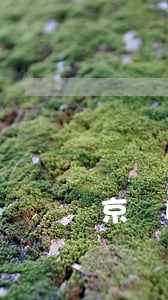 京東白條一定要綁定銀行卡還款嗎-京東白條綁定銀行卡還款嗎?