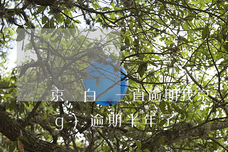 京東白條一直逾期（我京東白條已經(jīng)逾期半年了）