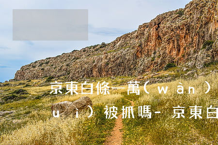 京東白條一萬(wàn)塊逾期半年會(huì)被抓嗎-京東白條一萬(wàn)塊逾期半年會(huì)被抓嗎知乎