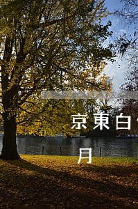 京東白條一萬(wàn)逾期一個(gè)月