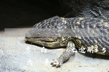 京東白條一萬七逾期35天(京東白條逾期七天沒事吧)